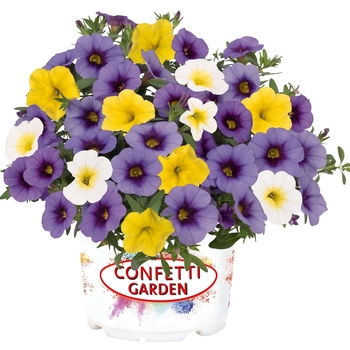 Confetti Garden Calibrachoa