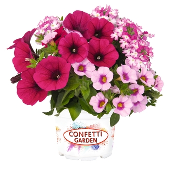 Confetti Garden Calibrachoa