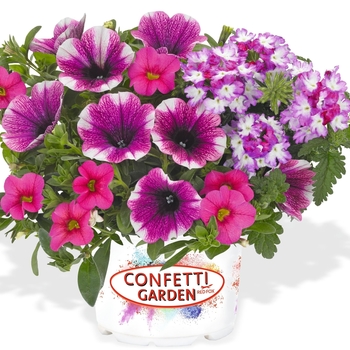 Confetti Garden Calibrachoa