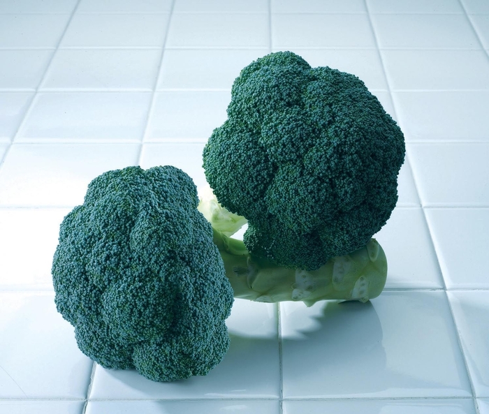 Avenger F1 - Broccoli