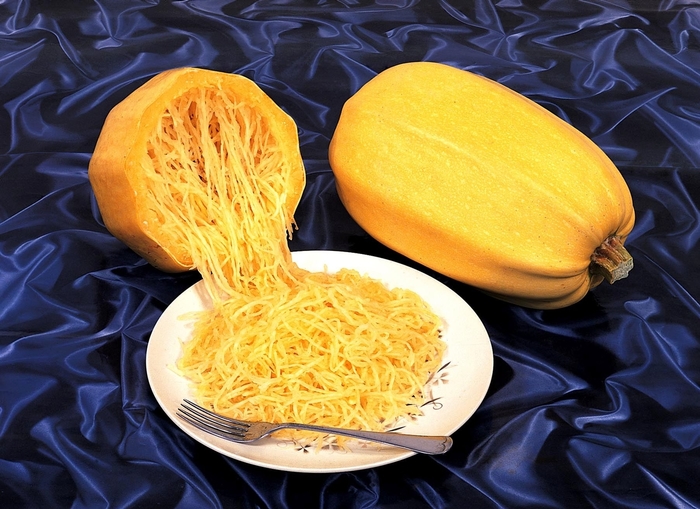 Vegetable Spaghetti - Spaghetti Squash