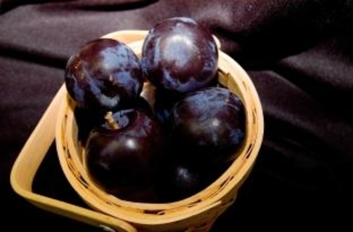 Black Ice Plum - Prunus 'Lydecker'